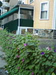 20070923-1007_17.JPG
