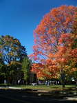 20071008-1013_02.JPG