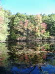 20071008-1013_08.JPG